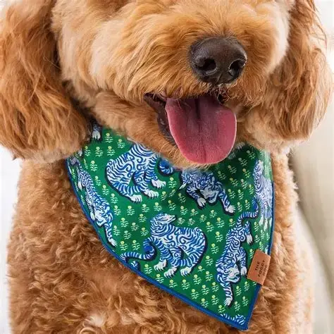 PETS ACCESSORIES